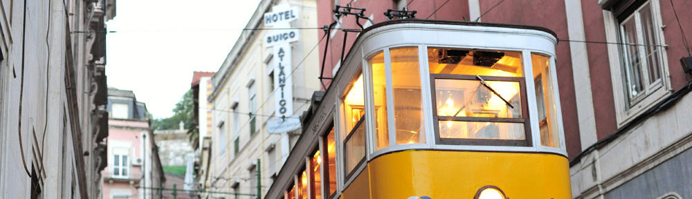 Фанат ЗЕНИТа